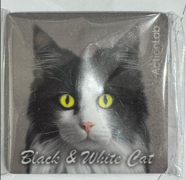 Action Trade Magnet Black & White Cat