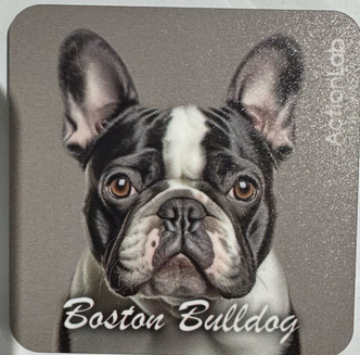 Action Trade Magnet Boston Bulldog