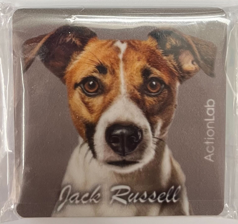 Action Trade Magnet Jack Russell