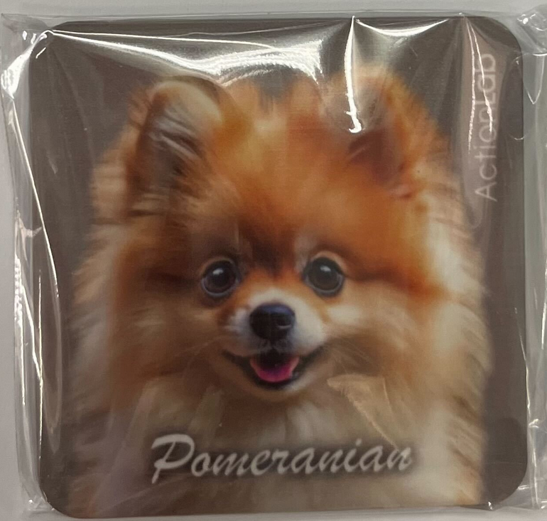 Action Trade Magnet Pomeranian