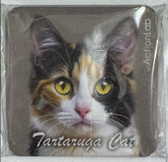 Action Trade Magnet Tartarouga Cat