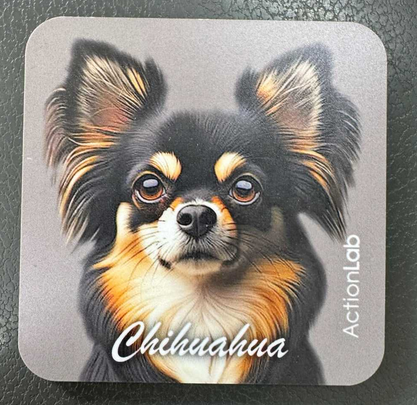 Action Trade Coaster Chihuahua Black