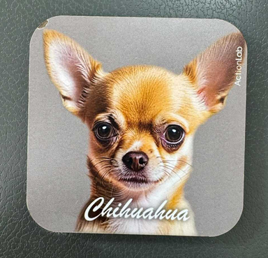 Action Trade Coaster Chihuahua Moca