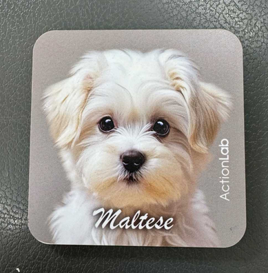 Action Trade Coaster Maltese