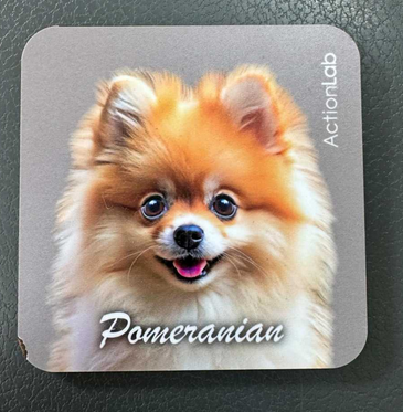 Action Trade Coaster Pomeranian 