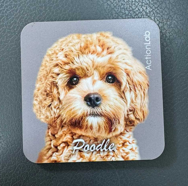 Action Trade Coaster Poodle Moca