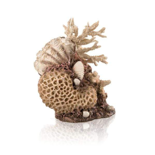 Biorb - Coral Shells Ornament Natural