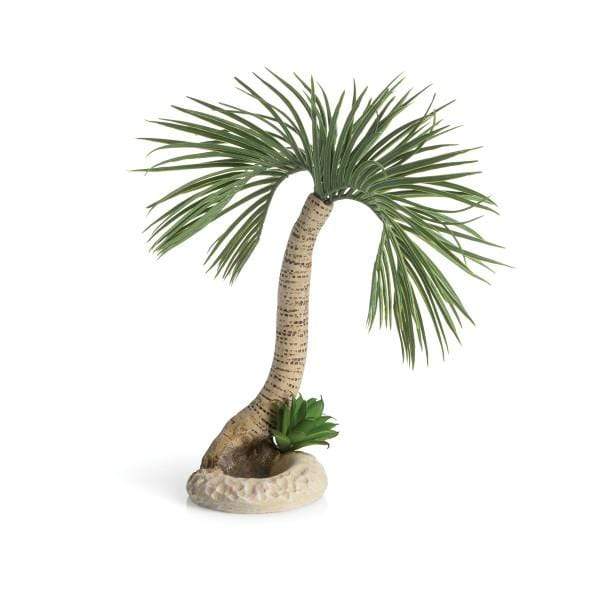 Biorb Oase - Palm Tree Seychelles Large