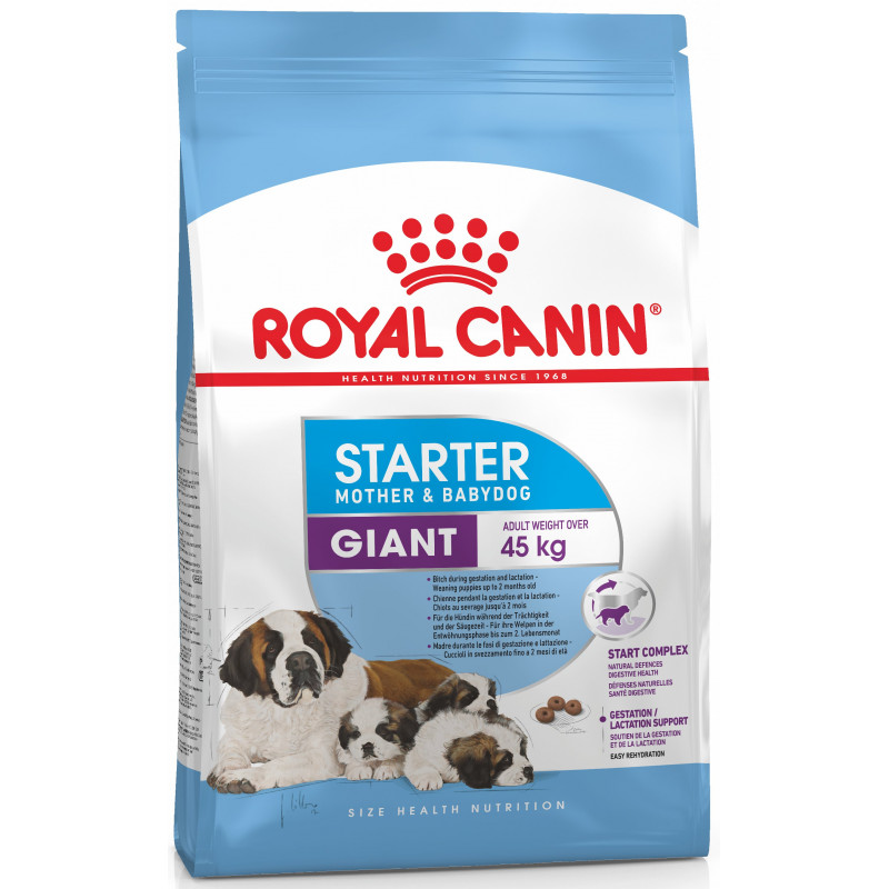 royal canin medium starter professional