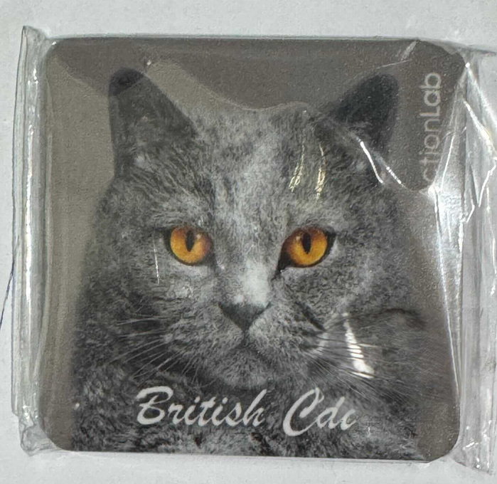 Action Trade Magnet British Cat