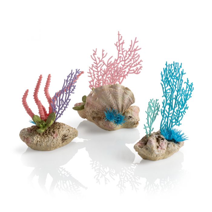 Biorb - Coral Fans & Shells Set