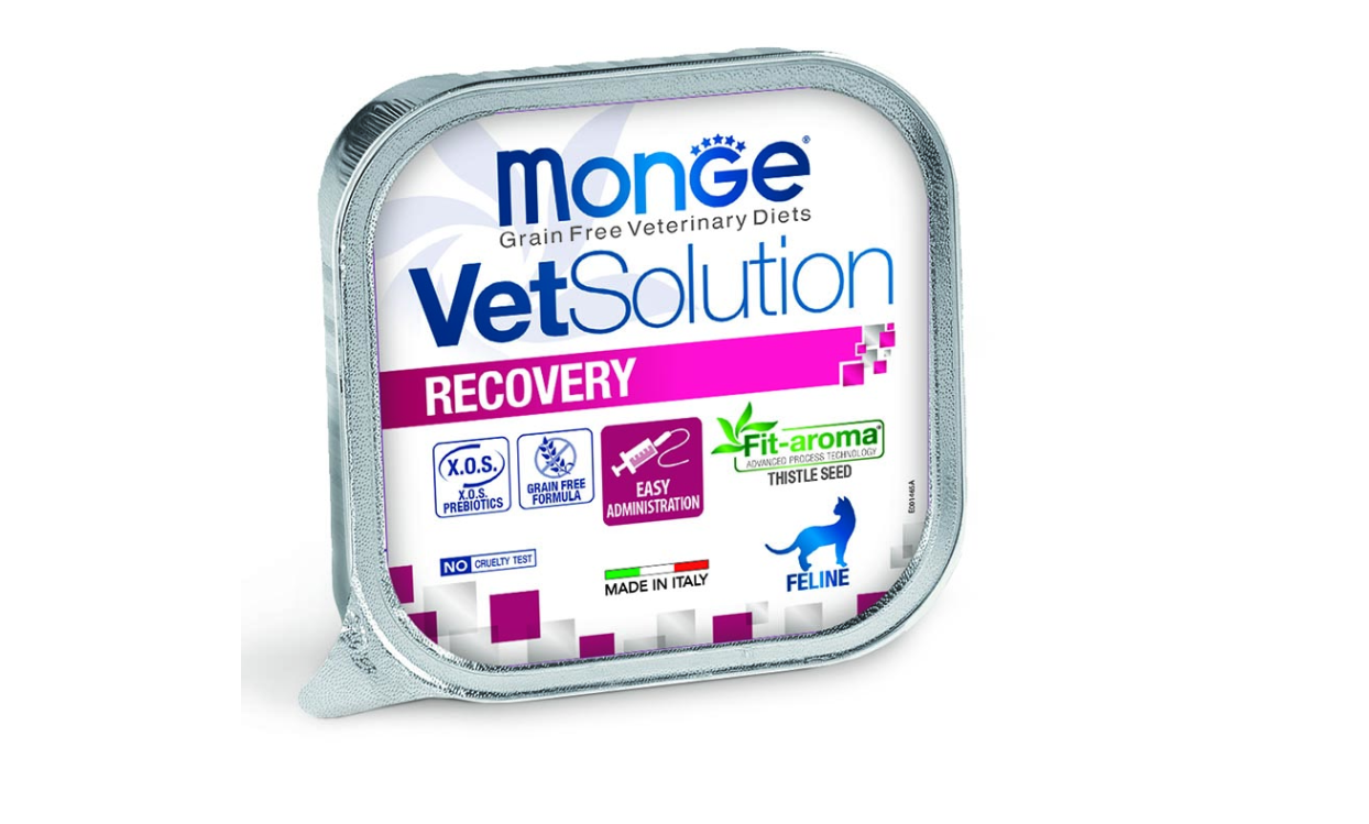 Monge Vetsolution Recovery Feline Wet Food