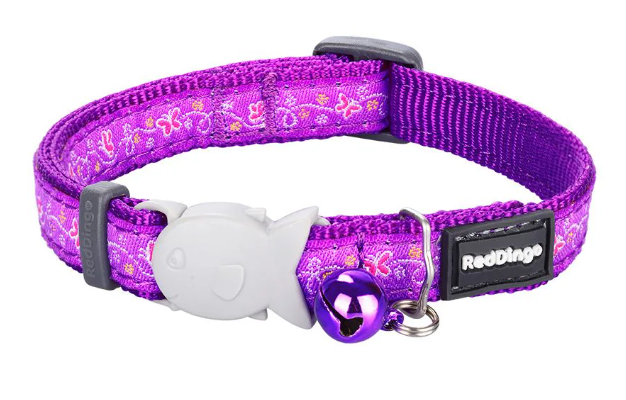 Red Dingo Butterfly Purple Cat Collar