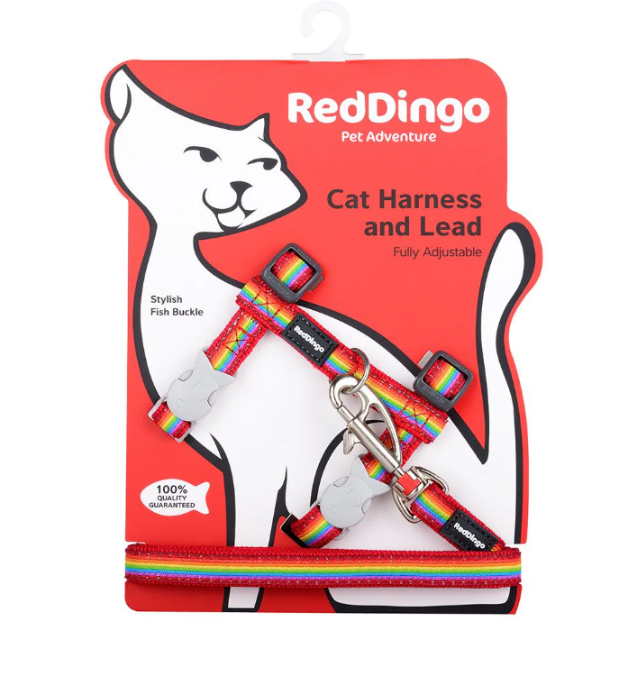 Red Dingo Rainbow Red Cat Harness And Lead