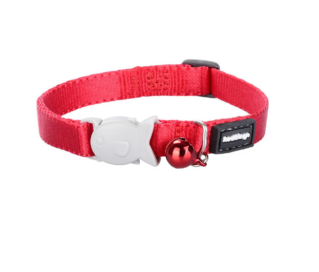 Redingo Kitten Red Collar