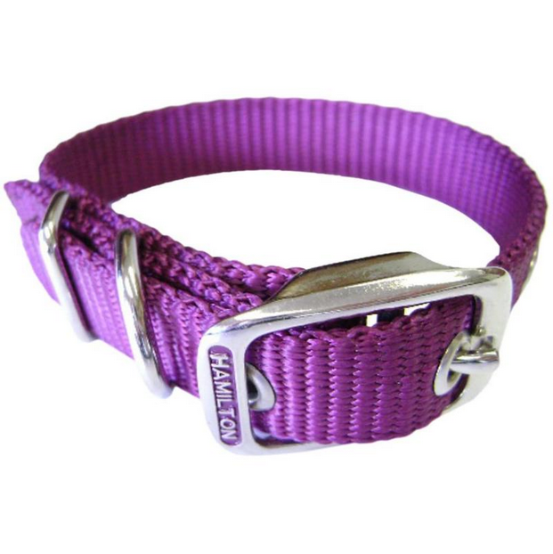 Hamilton Dog Collar Purple 30