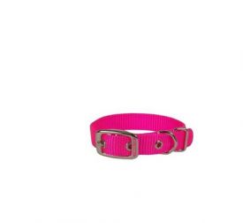 Hamilton Double Thick Nylon Dog Collar Hot Pink