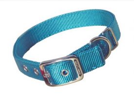 Hamilton Classic Double Thick Buckle Collars, Large 18 - 24 Teal