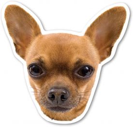 Action Trade Magnet Chihuahua Moca