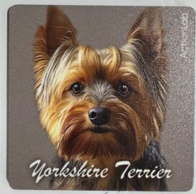 Action Trade Magnet Yorkshire Terrier