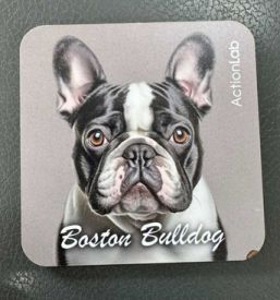 Action Trade Coaster Boston Bulldog