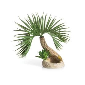 Biorb - Palm Tree Seychelles Small