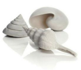 Oase Biorb Sea Shell - Set 3 - White