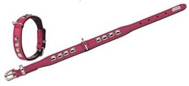 Hunter Collar Leather Rocky Petit Pink/black 1.6cm, 17-21cm