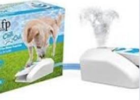 Afp All For Paws Afp Dog Puppy Chill Out Garden Water Fountain