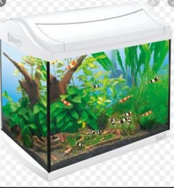 Tetra Aquarium Aqua Art Shrimps Set 20l 39.5x28x33cm