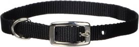 Dog With A Mission 3/8 S/t Deluxe Dog Collar Black