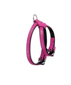 Flamingo Pink Harness