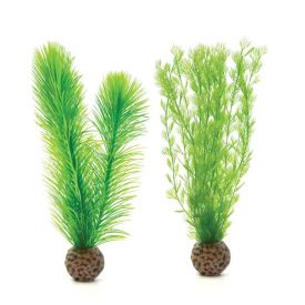 Biorb - Feather Fern Set Small Green