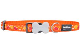 Red Dingo - Breezy Love Orange Dog Collar