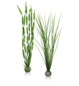 Oase - Biorb Easy Plant Set Large Green