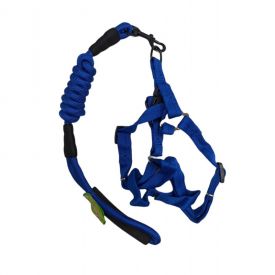 Harness With Leash And Handle