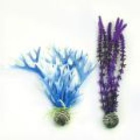 Biorb Coloured Easy Plants Blue/purple