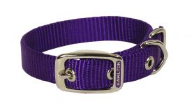 Hamilton Dog Collar Purple