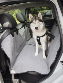 Car Seat Protection