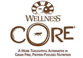 Wellness Core Wet Cat Food
