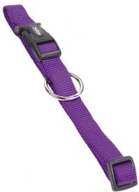 Nobby Collar Classic Purple M/l