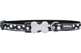 Red Dingo Collar Black With White Spots