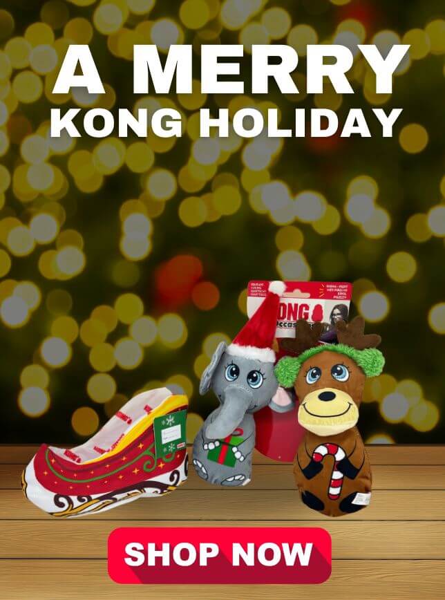 Xmas Kong Holiday 2024